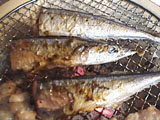 七輪で焼いたサンマ